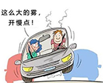 汽車安全.jpg.png